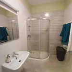 Herastrau Apartament *