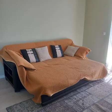Apartament Herastrau *